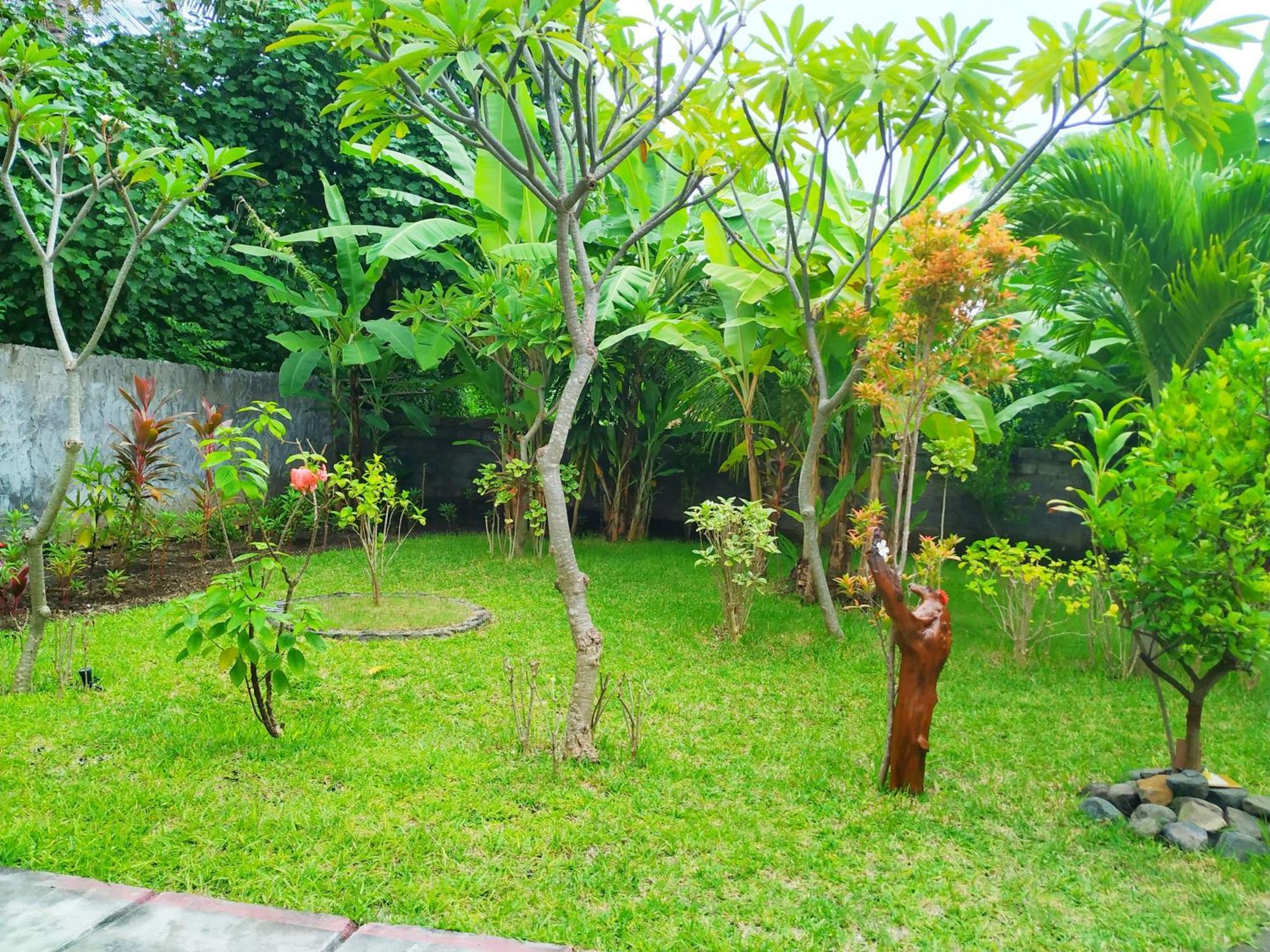 Asih Homestay Pemuteran  Exterior photo
