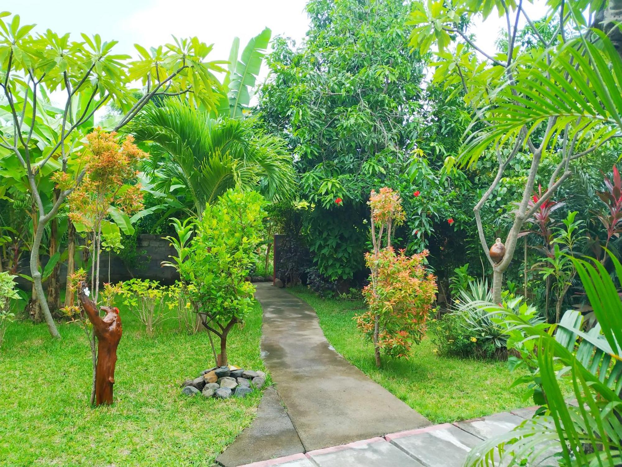 Asih Homestay Pemuteran  Exterior photo